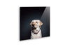 Custom Acrylic Panel - 12 x 12 Inches