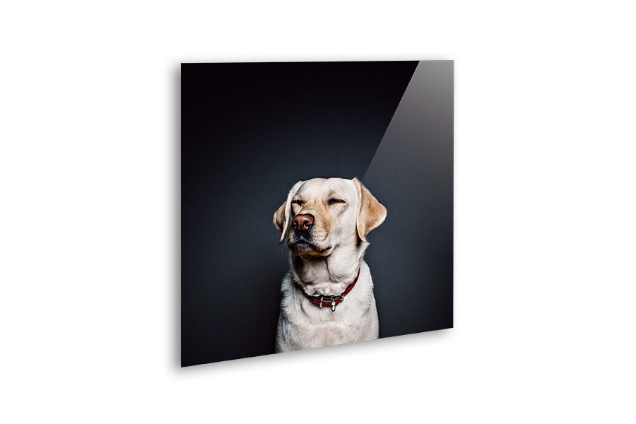 Wholesale Acrylic Mounting Panel - 20 x 20 cm