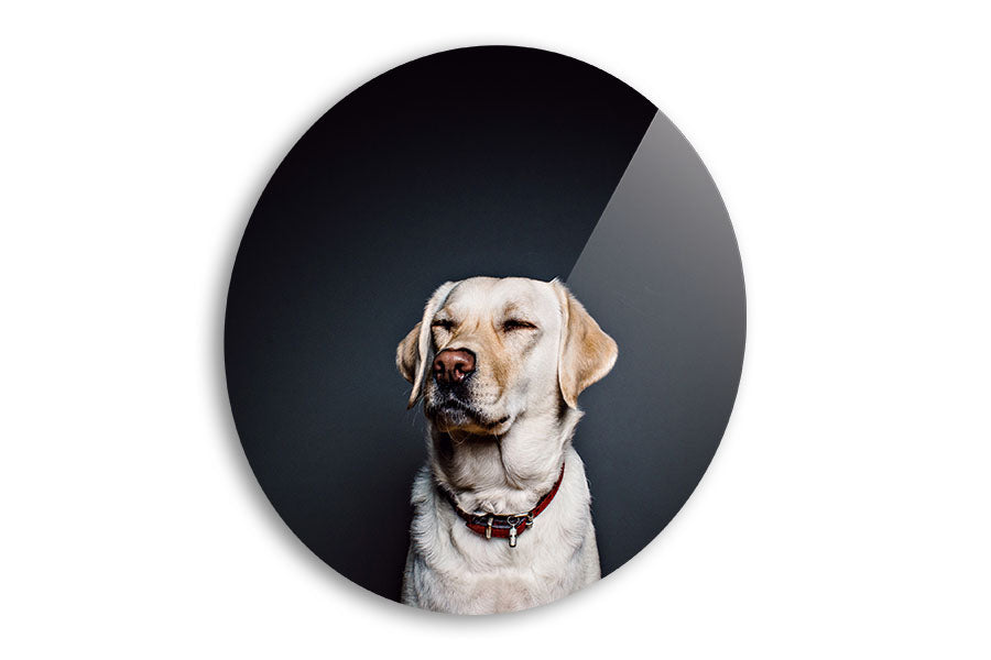 Wholesale Circle Acrylic Mounting - 30 x 30 cm