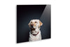 Acrylic Mounting Panel - 90 x 90 cm