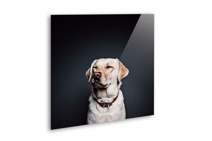 Wholesale Acrylic Mounting Panel - 50 x 50 cm